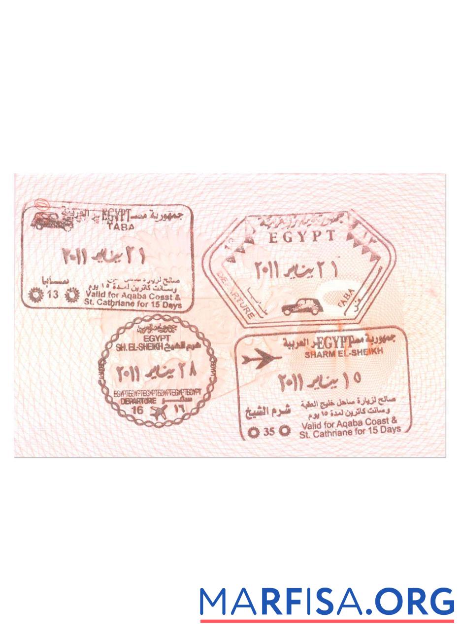 Blank Egypt visa stamp sample